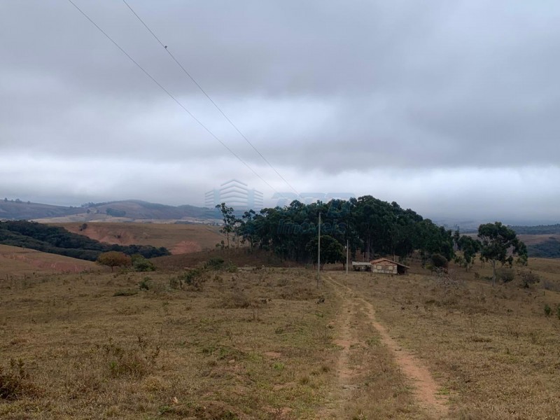 OPB Imóveis | Imobiliária em Ribeirão Preto | SP - Sítio - RURAL - SAO ROQUE 