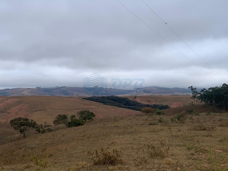 OPB Imóveis | Imobiliária em Ribeirão Preto | SP - Sítio - RURAL - SAO ROQUE 